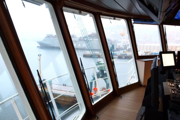 Polar king - Puente Gobierno