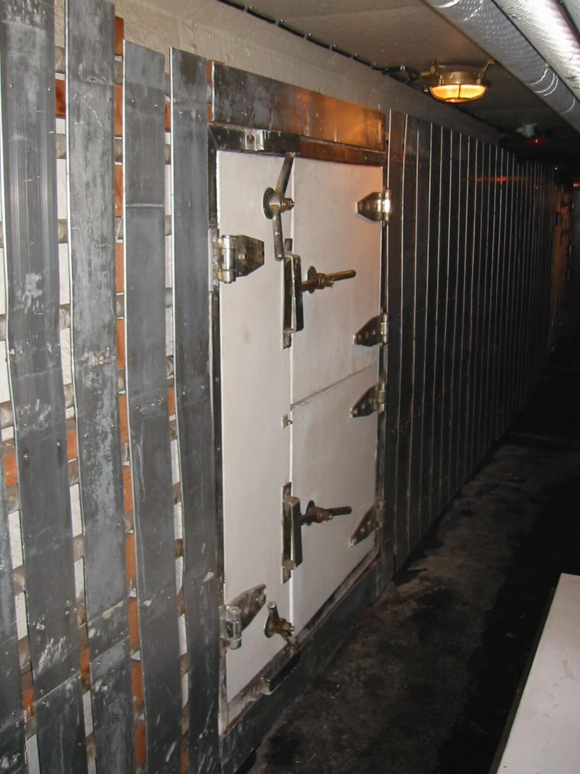 tuneles de congelacion (2)